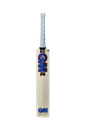 GM RADON DXM TT Cricket Bat