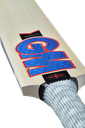 GM RADON DXM TT Cricket Bat