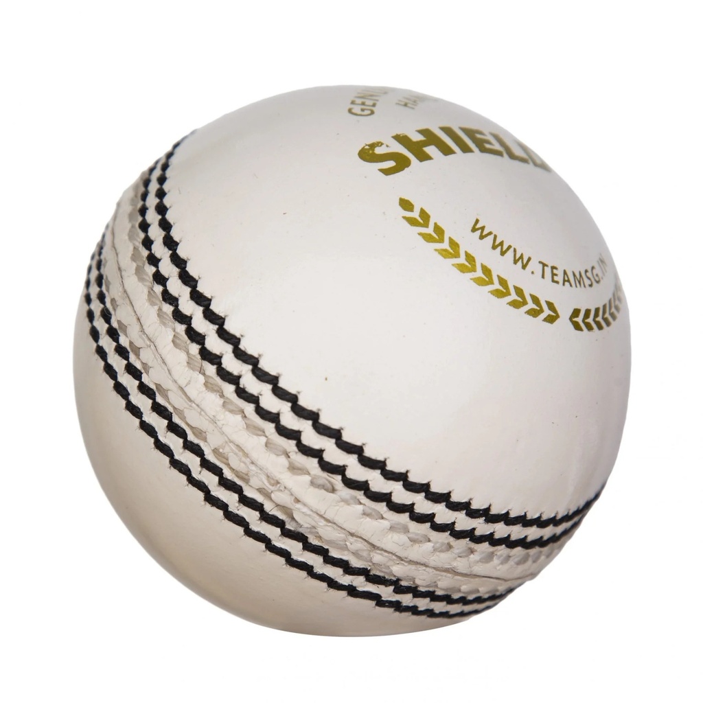 SG Shield 20 Cricket Ball - White