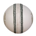 SG Club Cricket Ball - White