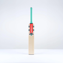 Gray Nicolls Ventus Gen 1.0 5 Star PP Cricket Bat - Front.webp