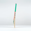 Gray Nicolls Ventus Gen 1.0 5 Star PP Cricket Bat - Edge 1.webp