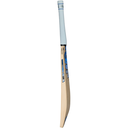 Maxi_bat_profile_26_RT_2000pxl.webp