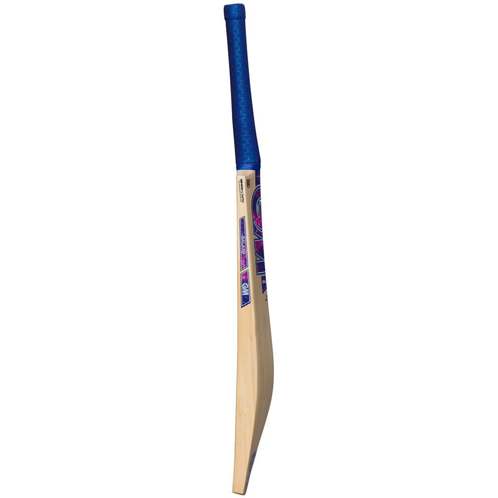 Galaxy_bat_profile_26_RT_2000pxl.webp