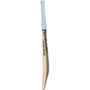 Rival_bat_profile_26_RT_2000pxl.webp