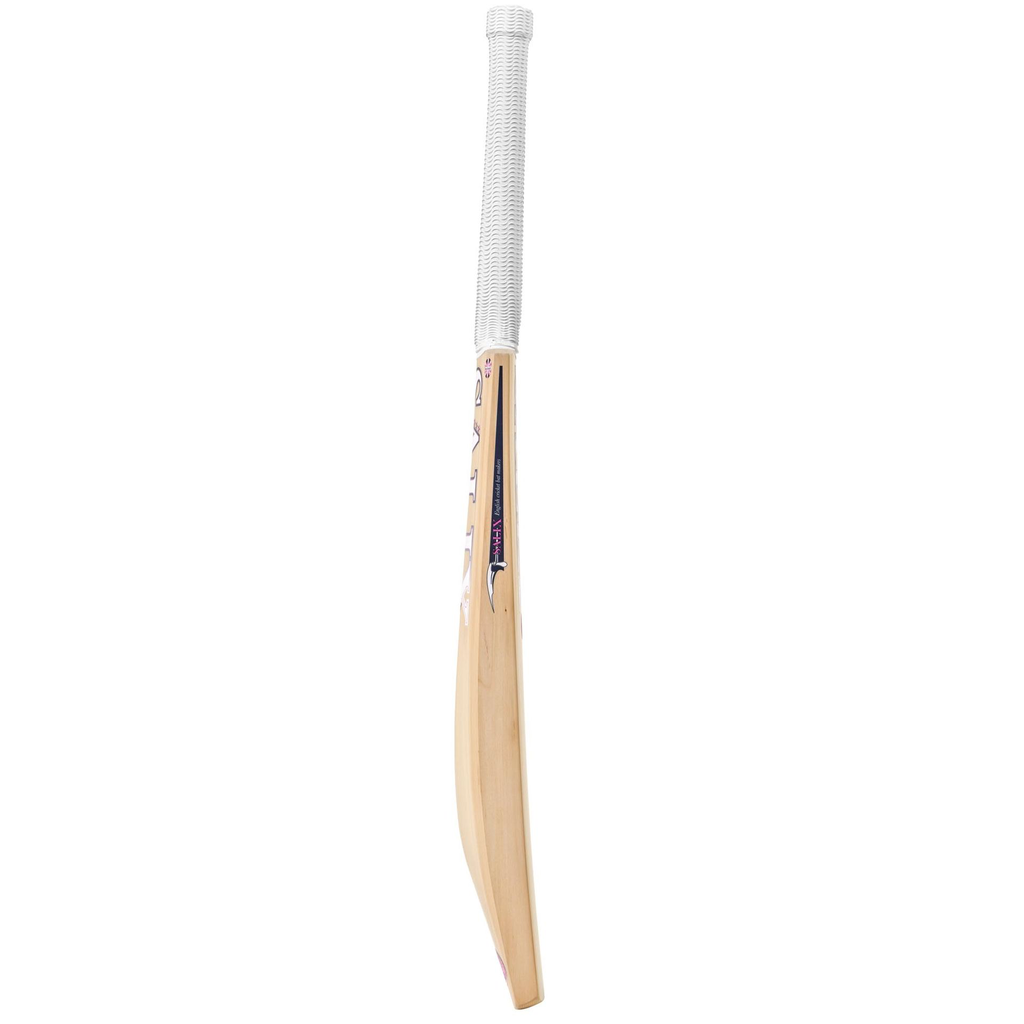 8. Salix AMP Side .webp