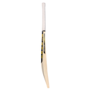 800 x 800-29.webp