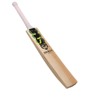 800 x 800-12.webp