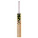 800 x 800-14.webp