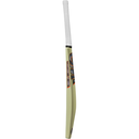 1916_kw_rival_profile_2026_rt_2000pxl.webp