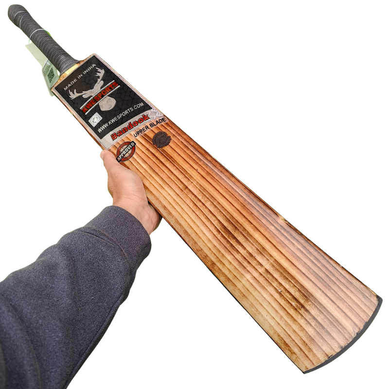 Karan Ambala Edition Bat Upgraded Version - Bandook Hard Tennis Bat - Front Hand.webp
