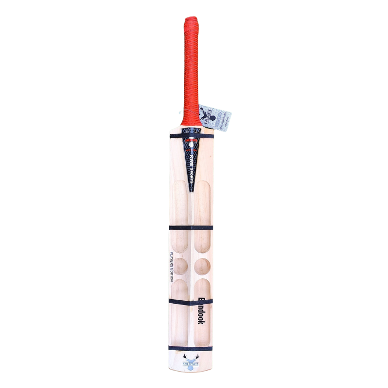 Kwesports Bandook Player Edition - Hard Tennis - 4 Scoop 2 Holes - Back.webp