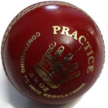 Practice Youth Cricket Ball