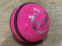 Practice Youth Cricket Ball - Pink