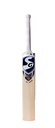 SG HP Spark Kashmir Willow Cricket bat