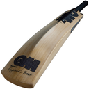 GM NOIR 404 Delta Cricket Bat