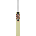 GM Rival Cricket Bat