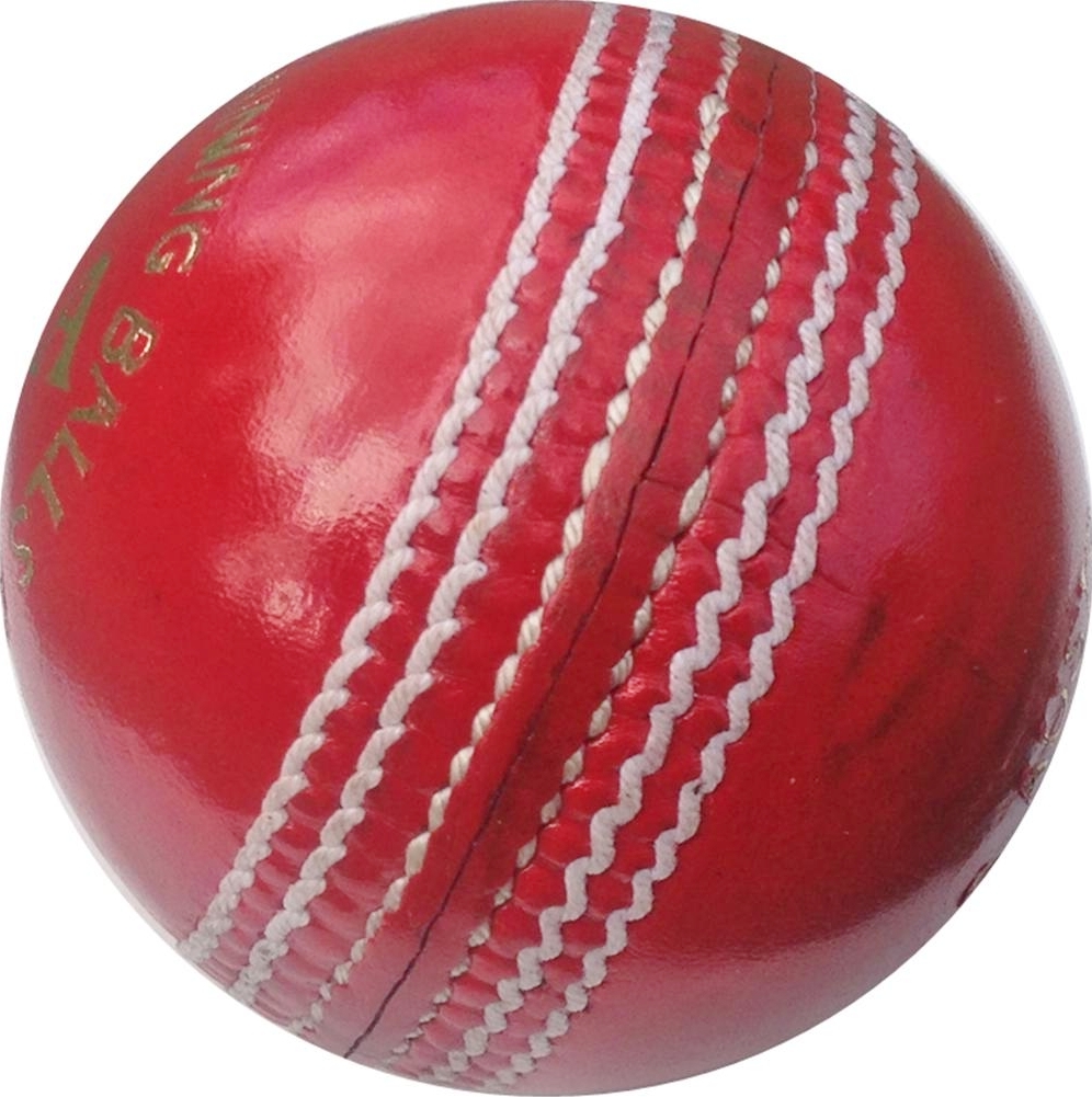 AS Gold Leather Cricket Ball
