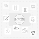 SG HP33 Classic Cricket Bat
