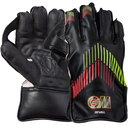 GM Rival Wicket Keeping Gloves - Junior