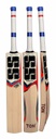 SS T20 Premium Cricket Bat (EW)
