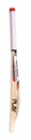PLAY Players Cricket Bat