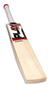 PLAY Players Cricket Bat