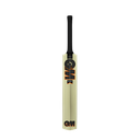 GM Eclipse KW Cricket Bat