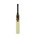 GM Eclipse KW Cricket Bat