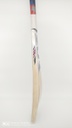KG Exclusive Cricket Bat