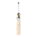 Ghost 4.2 Cricket Bat