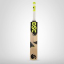DSC Condor Blitzer Cricket Bat