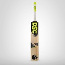DSC Condor Scud Cricket Bat