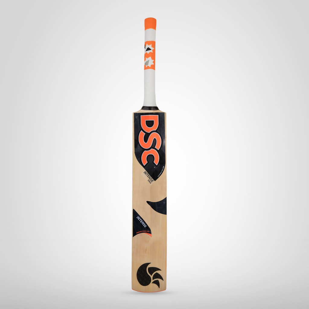 DSC Intense Zing Cricket Bat