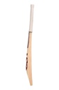 SG Century Classic Cricket Bat Side