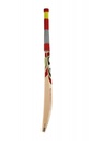 SG SR 210 Cricket Bat Side