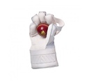 GM Original L.E Wicket Keeping Gloves