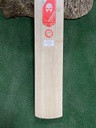 Phantom Illusion Performance Cricket Bat