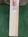 Phantom Vengeance Players Cricket Bat