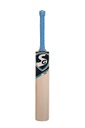 SG HYBRID 20 Xtreme Cricket Bat