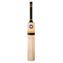 Newbery Master 100 Heritage Series English Willow Cricket bat