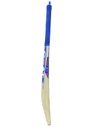 CEAT Sport Drive Cricket Bat