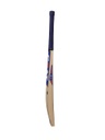 CEAT Pro R10 Kashmir Willow Cricket Bat