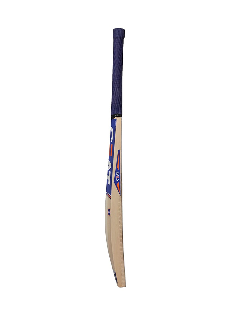 CEAT Formidable Kashmir Willow Cricket Bat