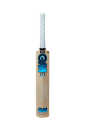 GM DIAMOND 606 Cricket Bat