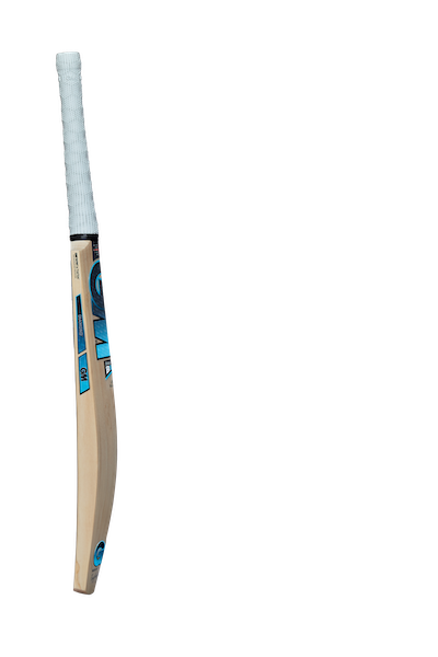 GM DIAMOND 808 Cricket Bat