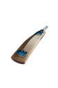 GM DIAMOND LE Cricket Bat