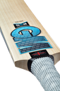 GM DIAMOND LE Cricket Bat