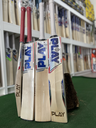 PLAY Limited Edition Cricket Bat