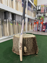 PLAY Professional Cricket Bat